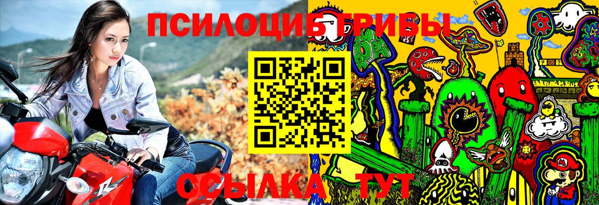 Алатырь  Псилоцибиновые грибы Psilocybe  Вход с VPN 